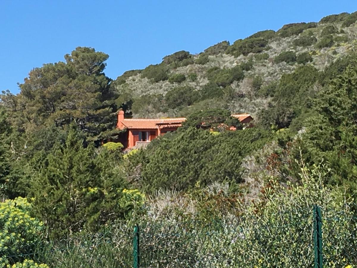 Bed and Breakfast Casa Diana à Île de Giannutri Extérieur photo